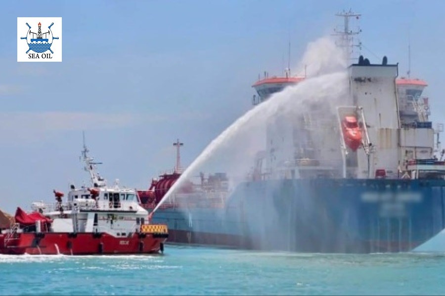 سونامی نقره ای در راه است/ ناوگان جهانی در پیر شدن است