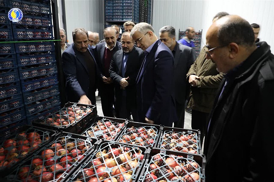 گام جدید در توسعه چهارباغ: سردخانه آقایی با حضور استاندار افتتاح شد