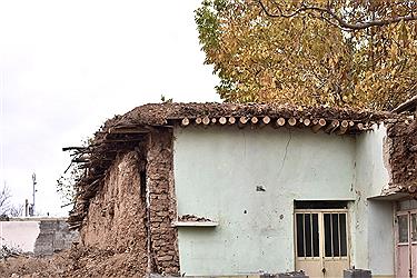 تصویر ساده و صادق