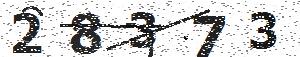 تصویر امنیتی
