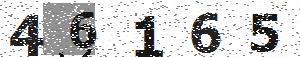 تصویر امنیتی