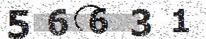 تصویر امنیتی