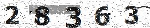 تصویر امنیتی