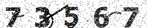 تصویر امنیتی