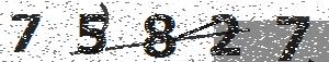 تصویر امنیتی